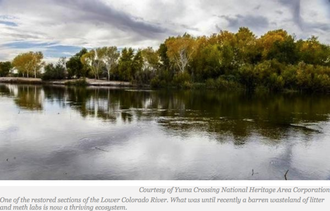 Tribal Transformation: Quechan Help Bring Lower Colorado River Habitat Back to Life