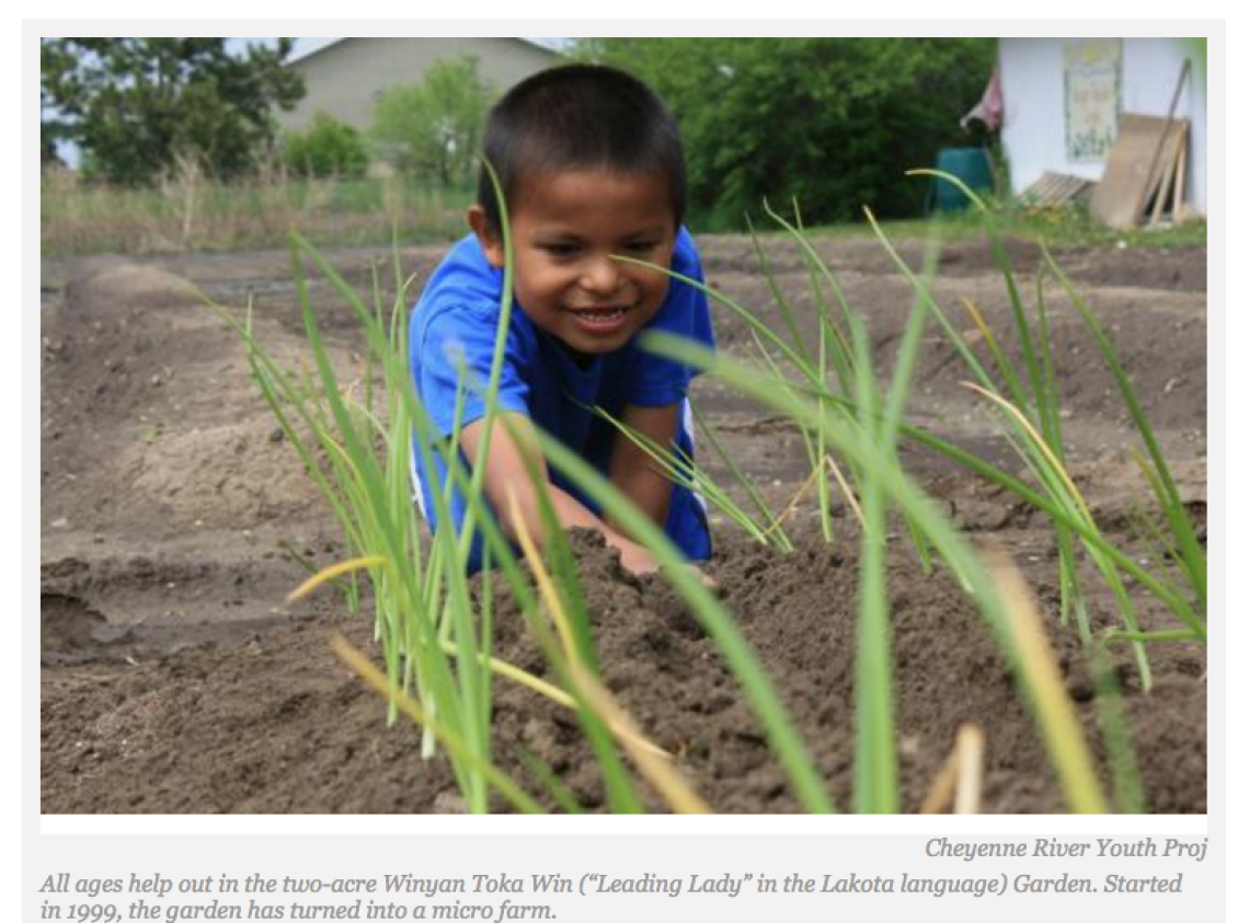 Cheyenne River Youth Projectâ€™s Garden Evolving Into Micro Farm