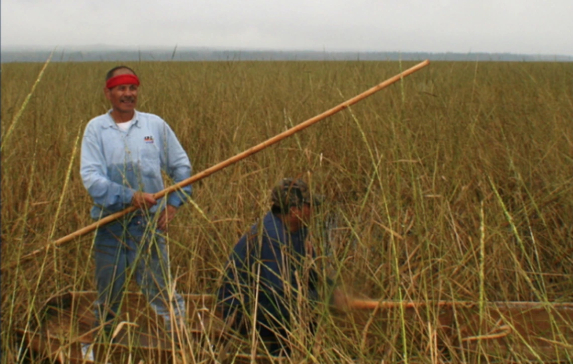 Building an Indigenous Foods Knowledges Network Through Relational Accountability