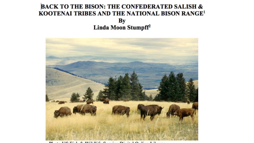 Back to the Bison: Part I