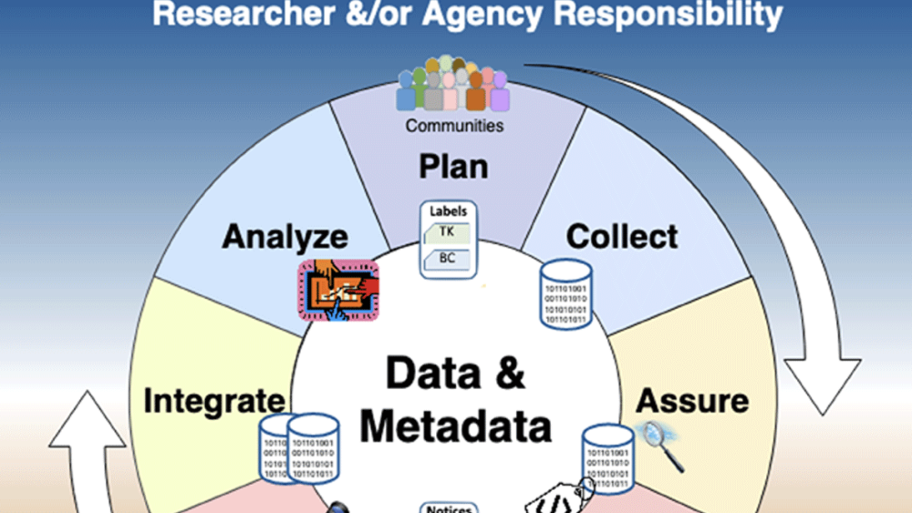 Earth Science Data Repositories: Implementing the CARE Principles