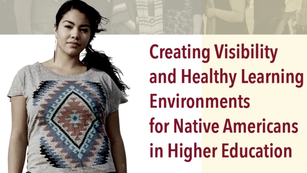Creating Visibility and Healthy Learning Environments for Native Americans in Higher Education
