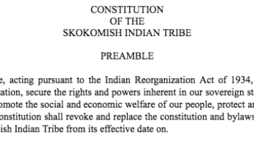 Skokomish Indian Tribe: Initiative and Referendum Excerpt