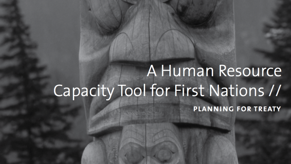 A Human Resource Capacity Tool for First Nations